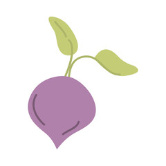 radish vegetable icon vector design