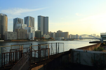 築地市場跡から望む隅田川と高層マンション群