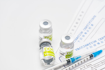 犬の予防注射イメージ