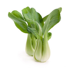 Chinese cabbage. Bok choy vegetable on white background - obrazy, fototapety, plakaty