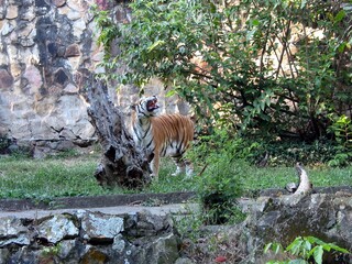 the beautiful nature