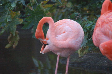 the beautiful nature