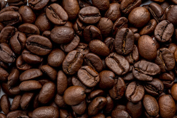 Fototapeta premium freshly roasted medium roasted coffee beans