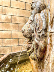 fountain of a lion's face