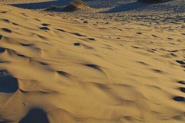 Duna de Samalayuca - Chihuahua