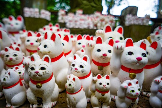 招き猫