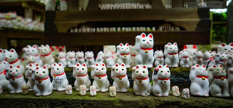 招き猫