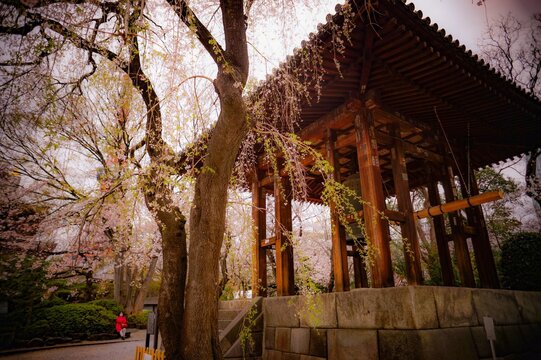 寺