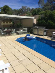 Ducks in Australian swimming pool. Summer living  BBQ outdoor entertainment dining