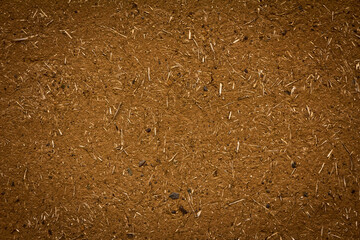 Old mud wall texture, Wutun Village