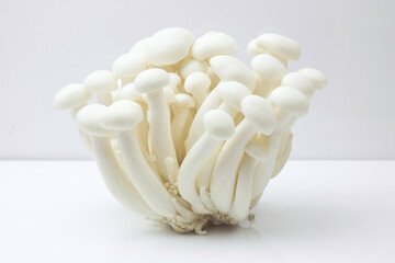 Shimeji mushroom or White beech mushroom isolated on white background.