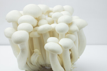 Shimeji mushroom or White beech mushroom isolated on white background.