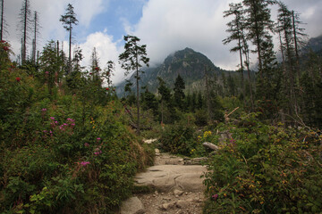 Obraz premium Trekking in the High Tatras. Slovakia. Europe