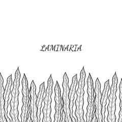 4 border seaweed sketch © rosad