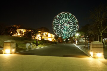 葛西臨海公園夜景　ライトアップされた観覧車
