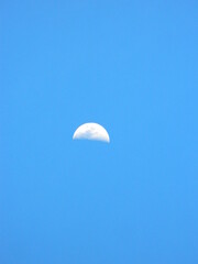 paragliding in the blue sky