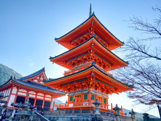 Fototapeta premium 京都