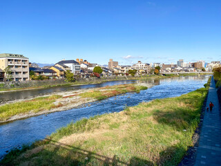 Fototapeta premium 京都