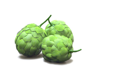 Three pieces of hops fruit on white background with 3d rendering.