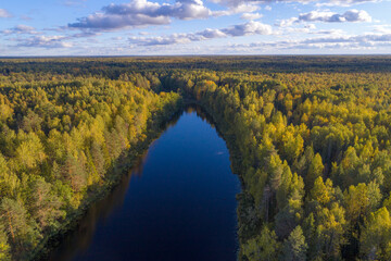 September sunny evening over a forest lake (aerial photography). Kostroma region, Russia