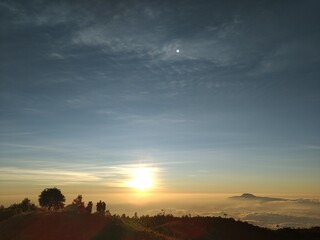sunset over the field