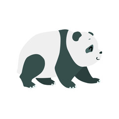 Little panda. Cute illustration of a walking baby panda isolated on a white background. Vector 10 EPS