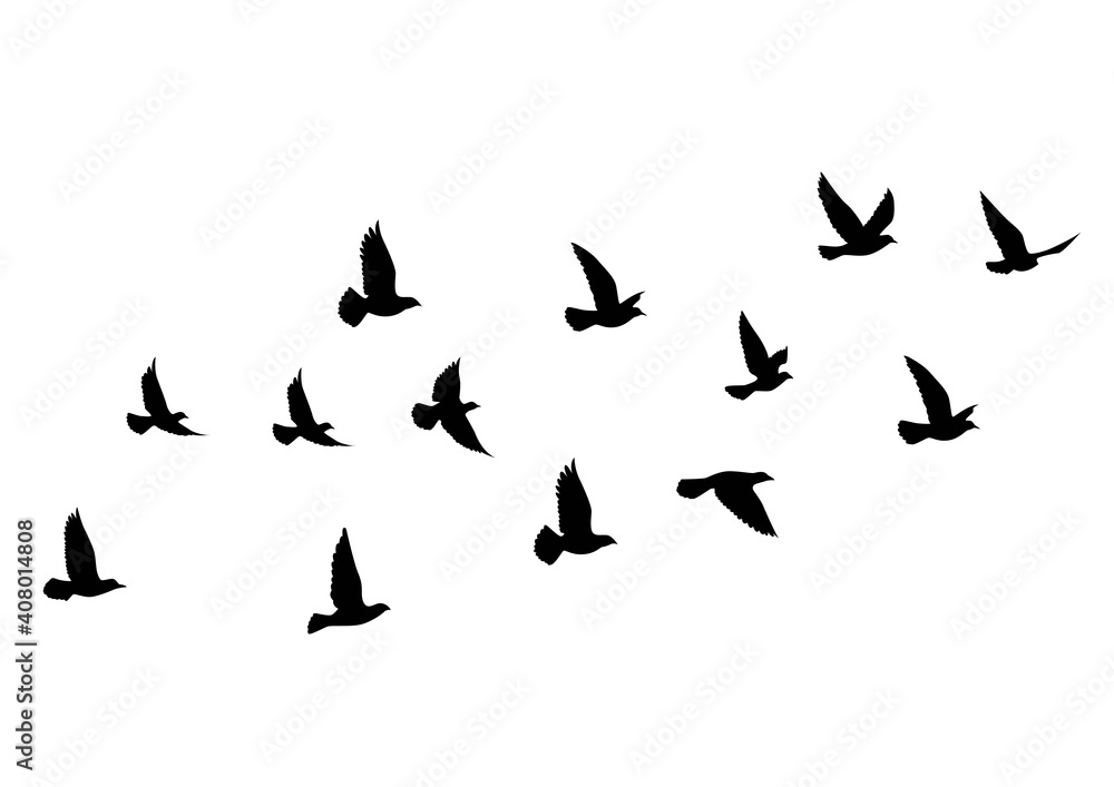 Wall mural flying birds silhouettes on white background. vector illustration. isolated bird flying. tattoo desi