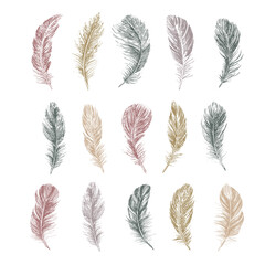 Feathers set, Hand drawn style, vector illustrations.	