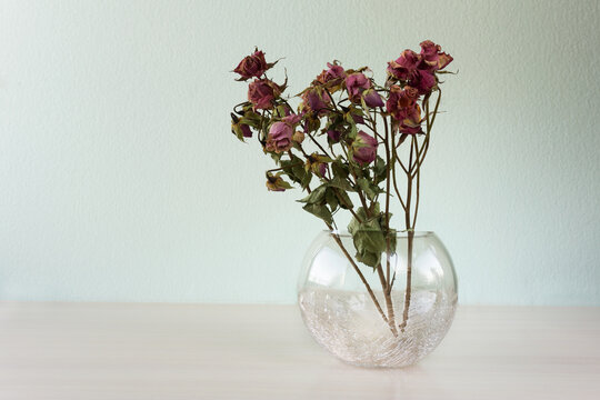 dried violet roses in a cracked vase