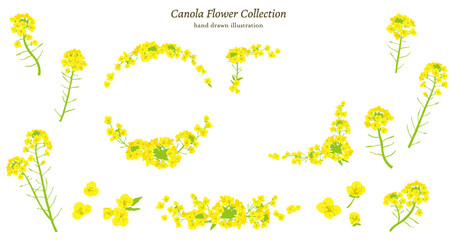 菜の花イラスト素材セット