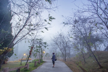 Obraz premium Relax at lake in Watchun Chiangmai Thailand