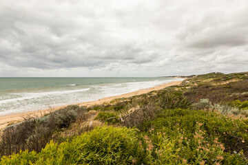 Coastal view including dunes looking north Binningup