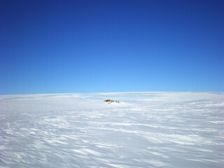 antarctica ice icebergs sea snow winter day