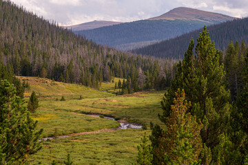 Prairie landscape in Rocky Mountain National Park