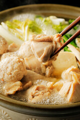 鶏肉とつみれの鍋　Chicken and chicken ball hot pot