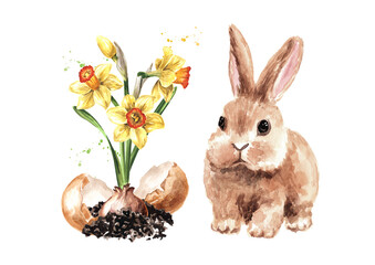 Happy Easter concept, spring flowers and little rabbit. Hand drawn watercolor illustration isolated on white background