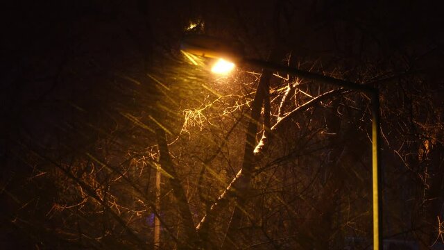 Street lamp while snowing. Flaky snow is falling.