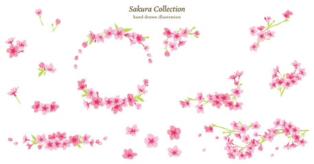 桜イラスト素材セット © ちよちよ