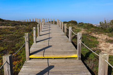 Fototapeta na wymiar path made of wooden roasts, wooden bridge leading to the blue horizon over a sandy and overgrown cliff