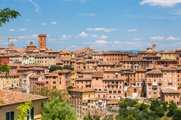 Fototapeta na wymiar イタリア　シエナの丘から見える街並み