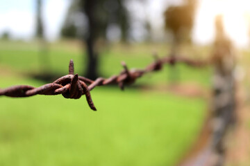 Metal rusty barbed wire against blurred green nature background (Select focus)