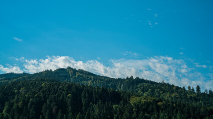 Germany, Black Forest Schwarzwald view above endless green forest mountains nature landscape of conifer and fir trees with blue sky in summer