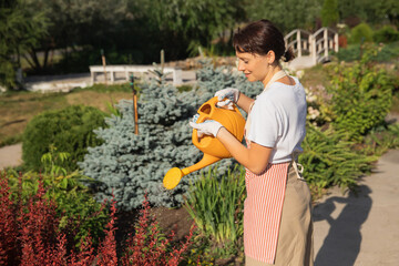 Professional gardener woman performs watering of hedge in garden, summer sunlight
