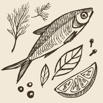 Drawing of a fish with lemon, pepper and herbs