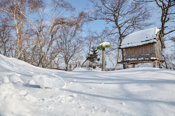Winter snow at HOKKAIDO in Japan 