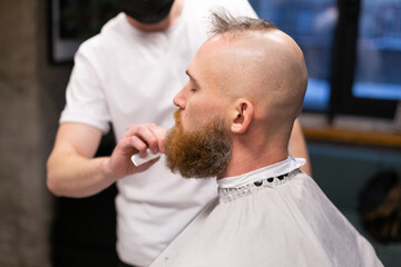 Obraz na płótnie Canvas European brutal man with a beard cut in a barbershop