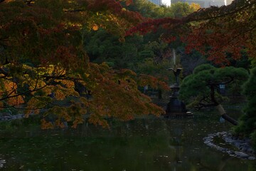 日比谷公園　雲形池の夕景と紅葉