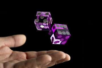 Casino purple dice