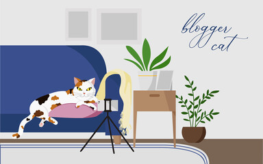 A cute spotted blogger cat lies on a pillow in the middle of a blue couch in front of a phone in a vet room. Live stream, take a photo, take a selfie, record a podcast. New professions internet banner