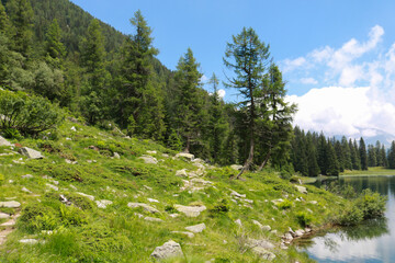 Sentiero del lago Nambino nel parco Adamello - Brenta in Trentino, viaggi e paesaggi in Italia
